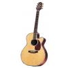 Takamine TNV460SC Acoustic Guitar